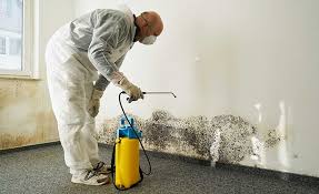  , USA Mold Removal Pros